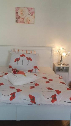  Penzion-apartmán U Johana  Моравска Требова